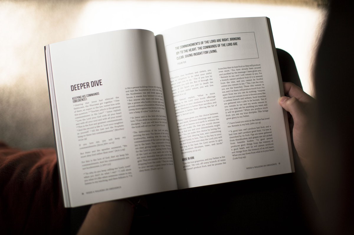 The Increase tweet media