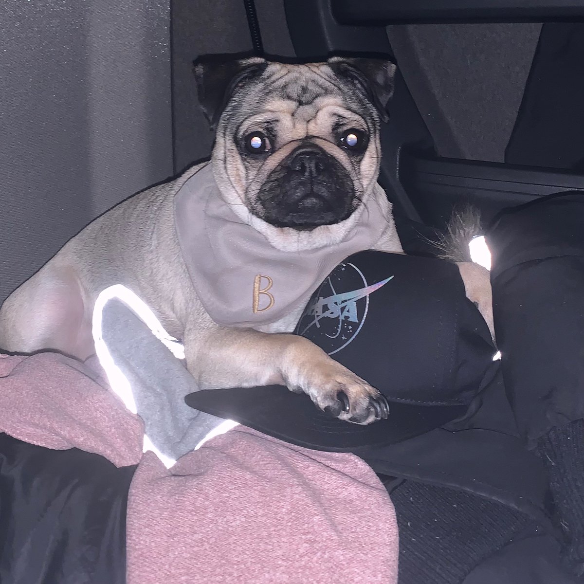 AHardPugLife's tweet photo. Guarding daddyโs hat. Look at that face. โค๏ธhttps://t.co/kFQ4HIajAM
#hat #flatpeak #Dog #pug #dogsofinstagram #dogs #doglover #dogstagram #pugdog #pugloversclub #pugslife #doggylover #dogoftheday #doglife #puglife #pets #dogslife #dogfamily #pugsofinsta #dogsoftwitter https://t.co/dWLJxgM2rb