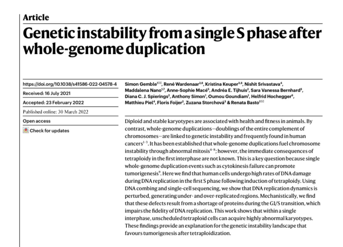 Basto_Lab tweet media