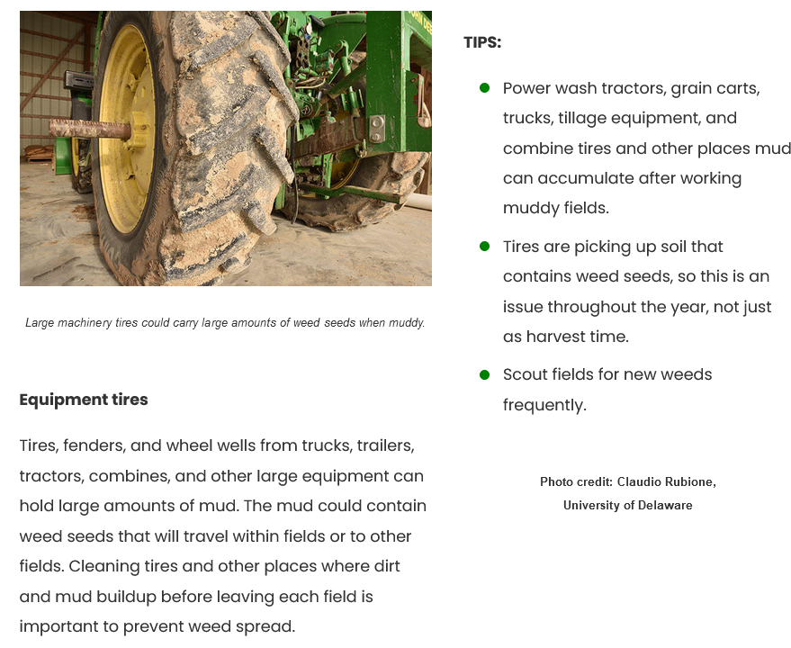 GetRidOfWeeds's tweet photo. Did you ever imagine that machinery tires could carry thousands of weed seeds when muddy? Take a look at prevention tips we put together to @GetRidOfWeeds 
👇
https://t.co/eQ7jHgpZzP https://t.co/GcXbDGja4E
