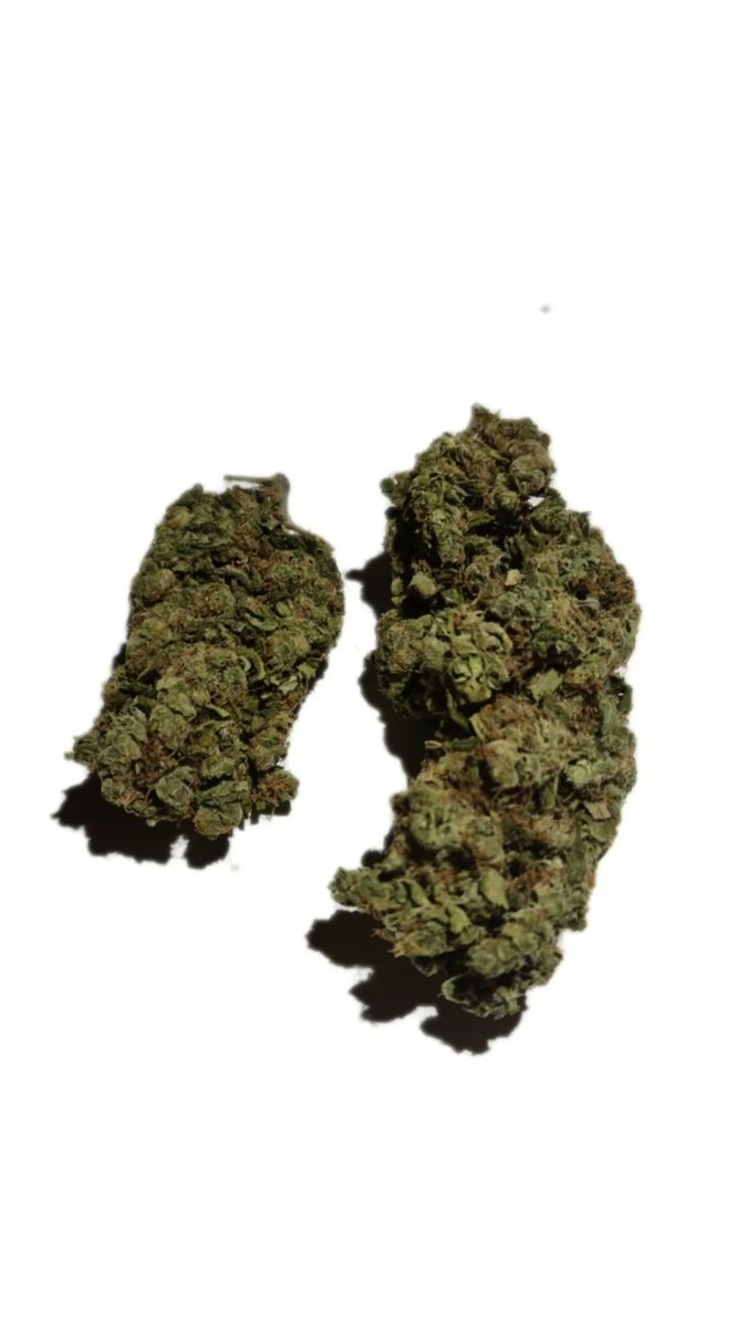 Alef0011's tweet photo. Fleur de CBD durbane poison une tuerie https://t.co/CI6YJ4EpPL