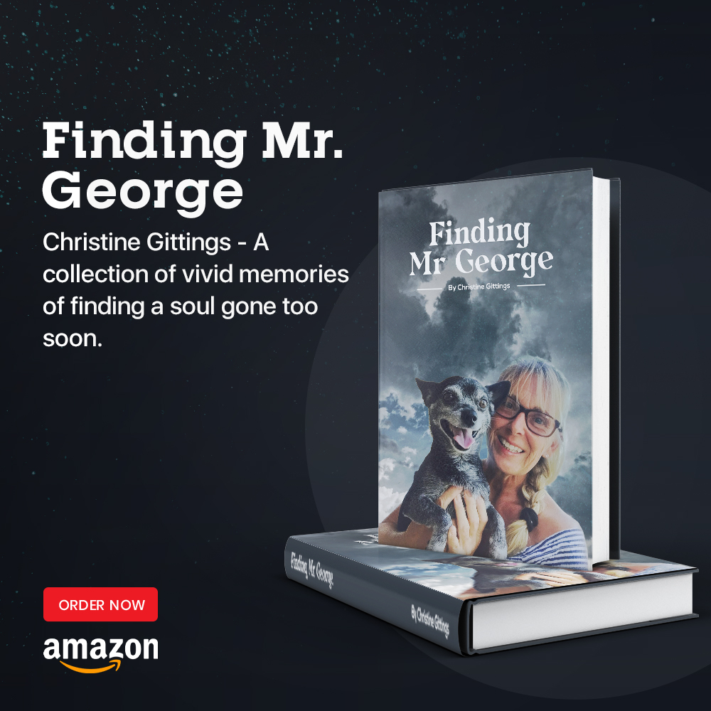 Finding Mr George tweet media