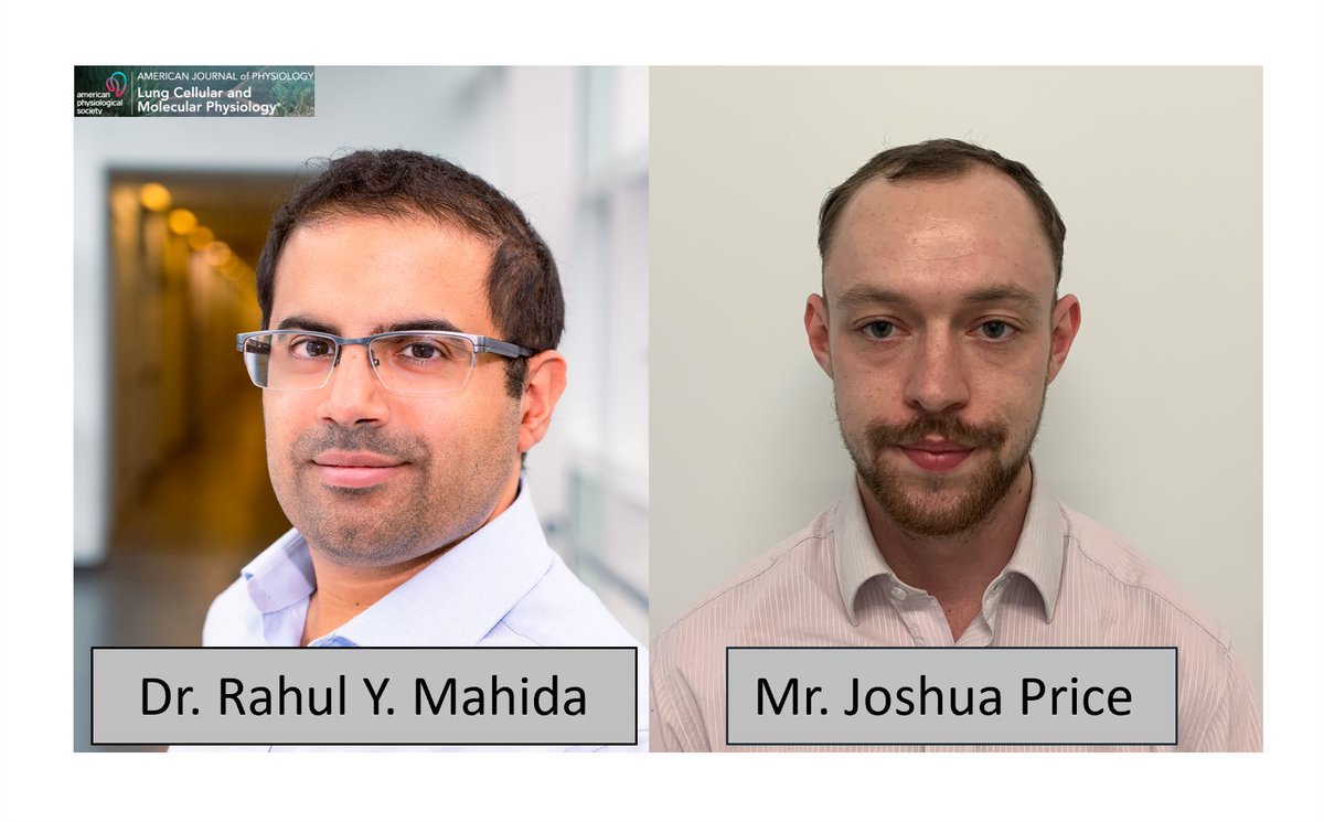 AJPLung's tweet photo. Authors from @InflamAge_UoB –– incl. @rmahida1, Joshua Price, @seblugg, @drdhruvparekh, and @DrAAronScott –– found that CD14+ extracellular vesicles are a potential #biomarker for disease severity and mortality in patients with sepsis-related #ARDS: https://t.co/WatdmLFXR8 https://t.co/KwZjMIB3Rv