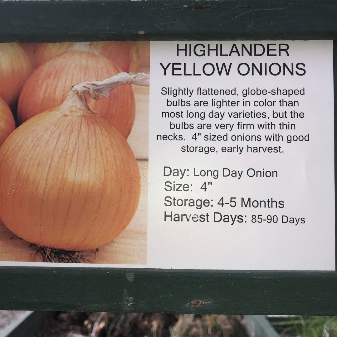 wordpuppet's tweet image. I’m tempted to plant this, but then I’d have to watch them fight until there’s only one. #highlander