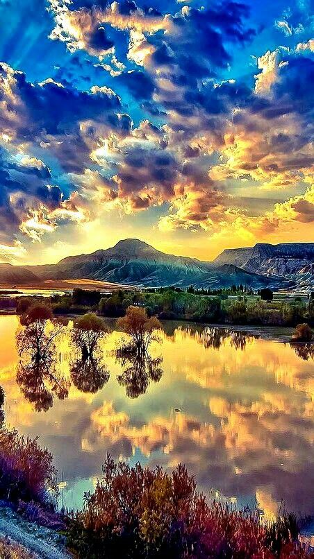 KatanaHugo's tweet photo. Good evening friends !
#photos #photography #evening #sunsets https://t.co/WyU1fNGJmO