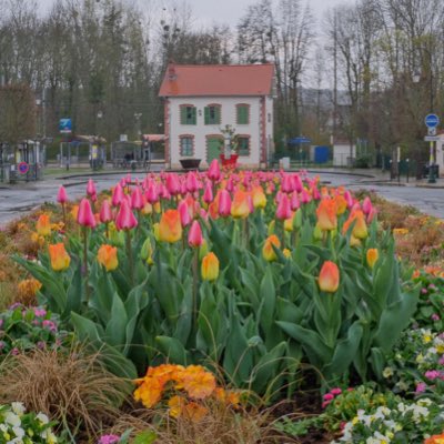 #NouvellePhotoDeProfil et toujours <a href="/VVFleuris/">Villes et Villages Fleuris</a>