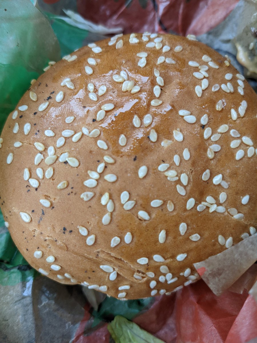 Hey <a href="/BurgerKing/">Burger King</a>, what are these black dots all over my bun?