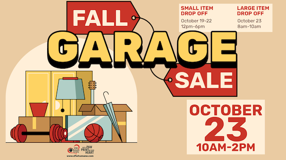 DFW Humane Society tweet media