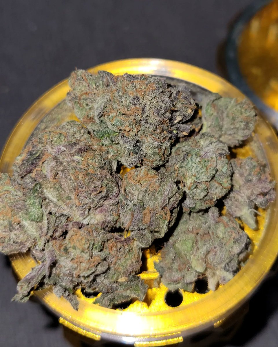 gg_genetics's tweet photo. Well for our first post while our IG gets sorted #GreenGuyGenetics brings you something cool 😎 

Here we have #CerealMilk 🥣🥛

Let's us tell you it was hard af turning the grinder with this one because of how 🍯Sticky🍯 it was. Great aroma, calm high #WhatsInYourGrinder https://t.co/DixOd2irZo