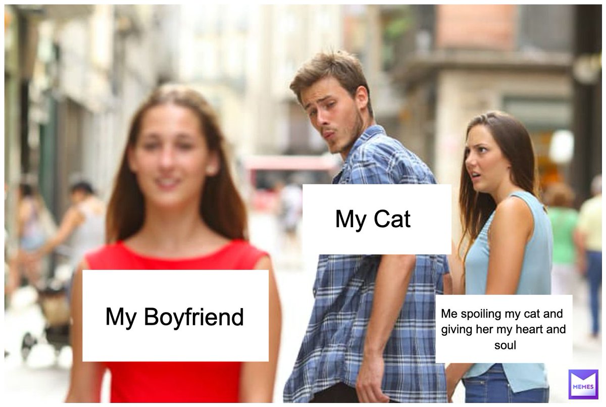 GruverKendra's tweet photo. The DISRESPECT is real😅 #MCO335 #CatMom https://t.co/qz4l61NyjD