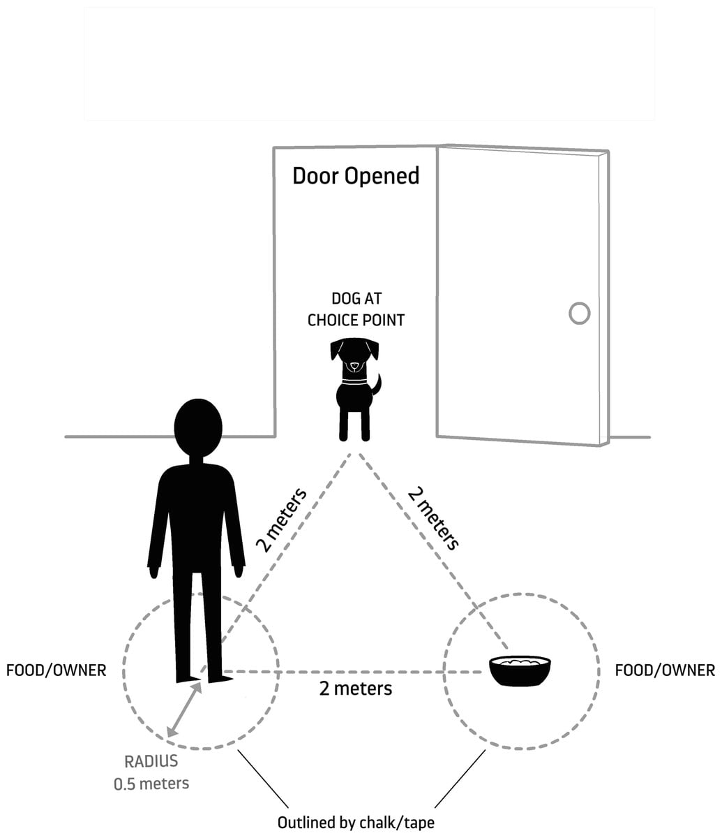 Clive Wynne tweet media