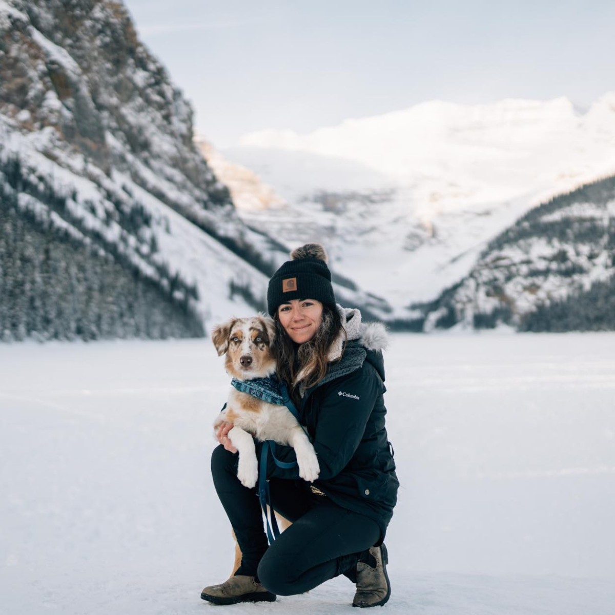 banfflakelouise's tweet photo. Our four-legged friends have had a busy month exploring Banff National Park and all the snowy trails!
What adventure will you and your dog go on in April? Use the hashtag #MyBanff for us to see! 

📸: sophietheauss | retrievingridges | rockymtnaussies | goldenlifewithnala / IG https://t.co/mPOrEszb3c
