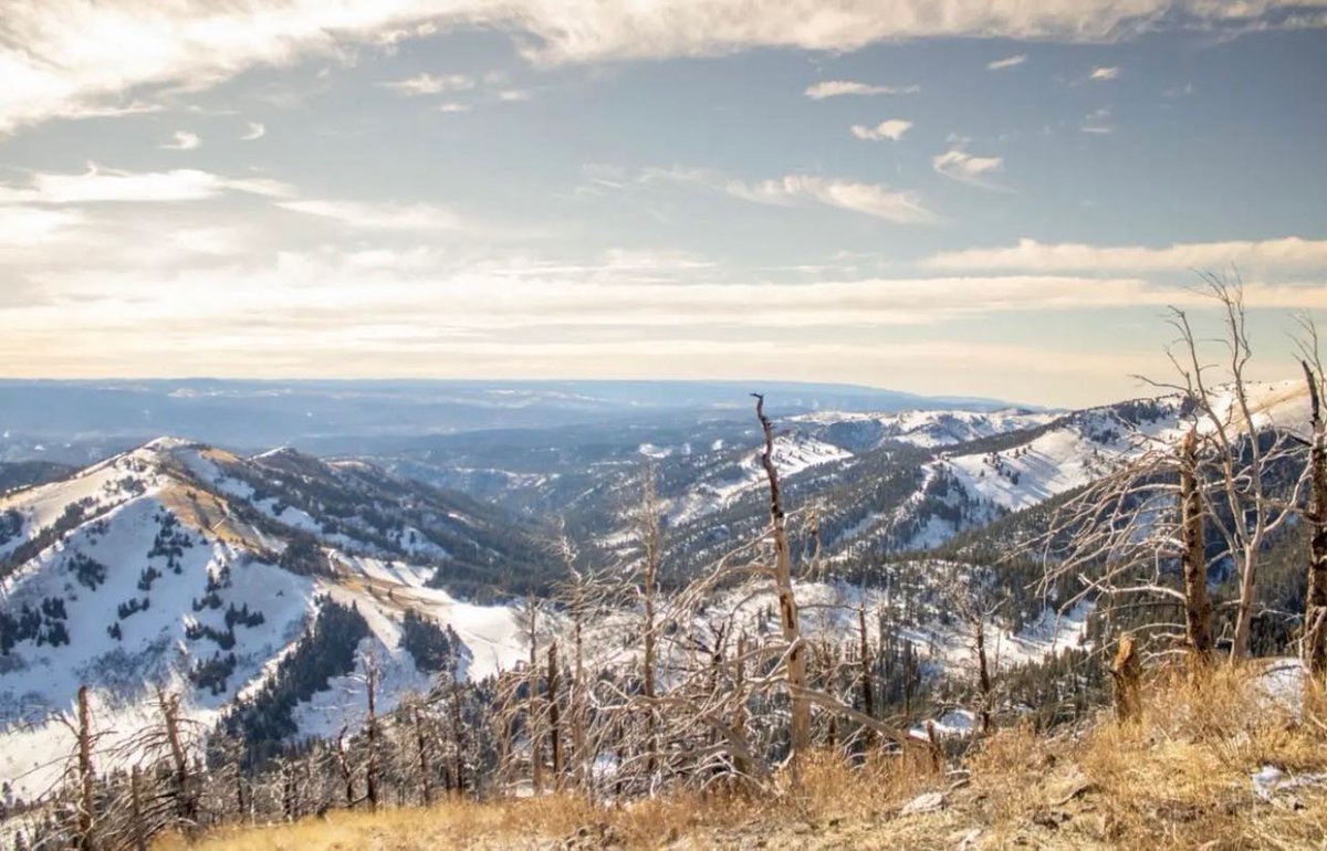 SkiApache's tweet photo. A stunning throwback of #SkiApache. You can’t beat these views. 😍 (📸: @sarasmemorypixels.s.p) https://t.co/wBDiKdsooV