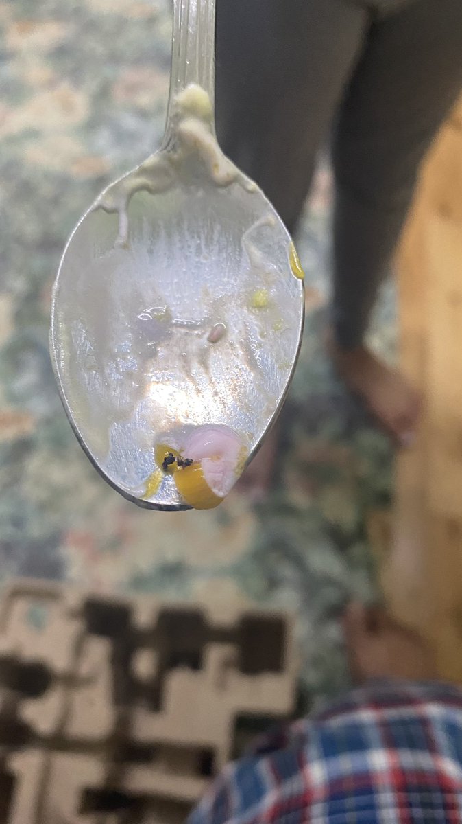 MUSIIM_T's tweet photo. @Tesco i my wife purchased this ice cream and I found ants in them and I had to dispose of them because of kids safety. https://t.co/4RzKfol4wT