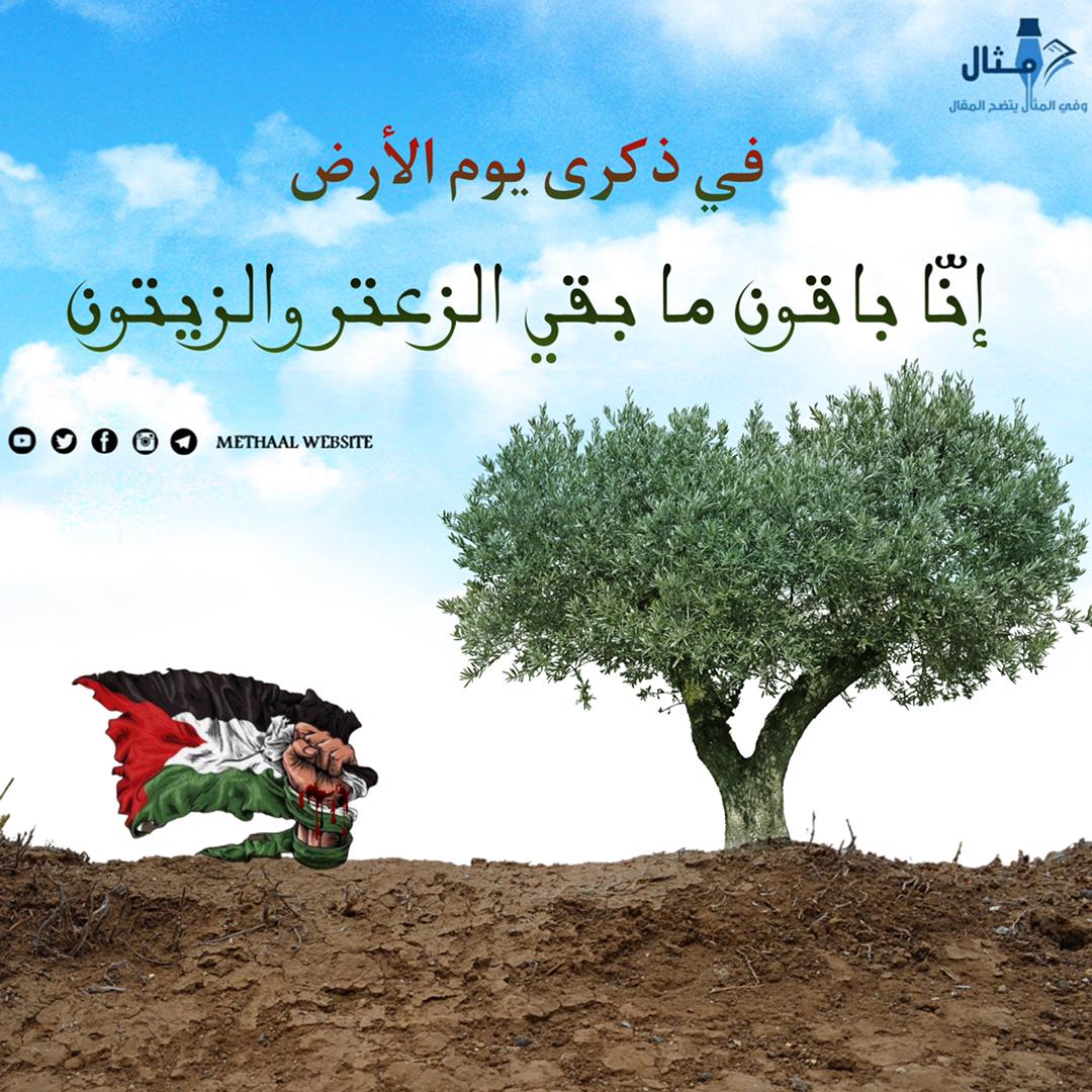 Methaalcom's tweet photo. #يوم_الأرض https://t.co/kT6WOflcmT