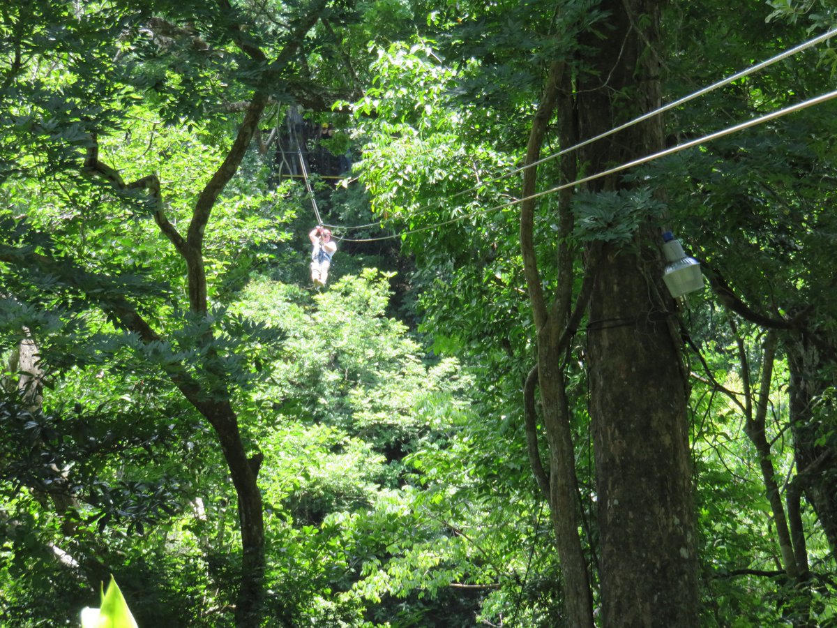 flyguy1931's tweet photo. @GamingStadiumCS @ShawInfo ziplining #GameWithShaw https://t.co/FPydldAvlu