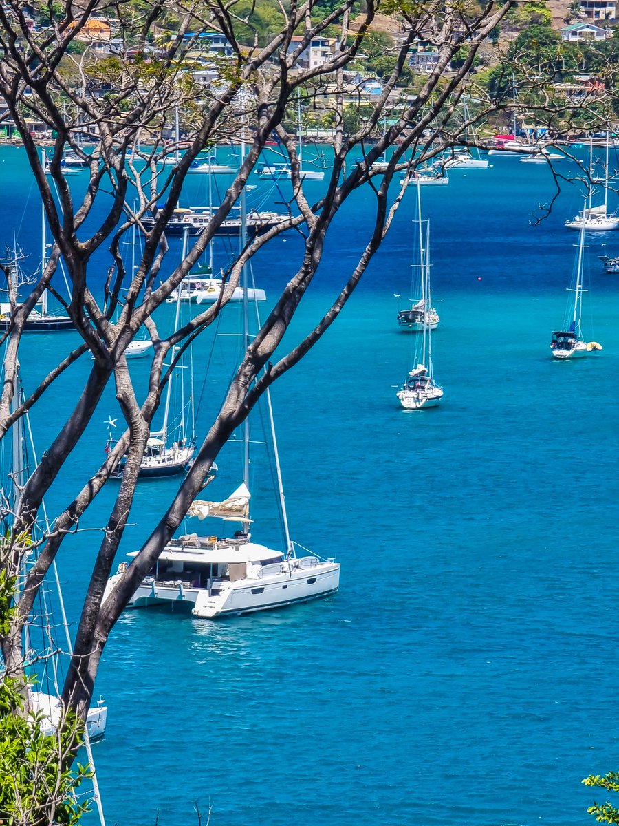 DonTequilaRoss's tweet photo. We 🧡 #Paradise
We 🧡 #Vincy
We 🧡 #Adventure
#RealAdventures 
adventureislandsvg@gmail.com https://t.co/rllydbuhNg