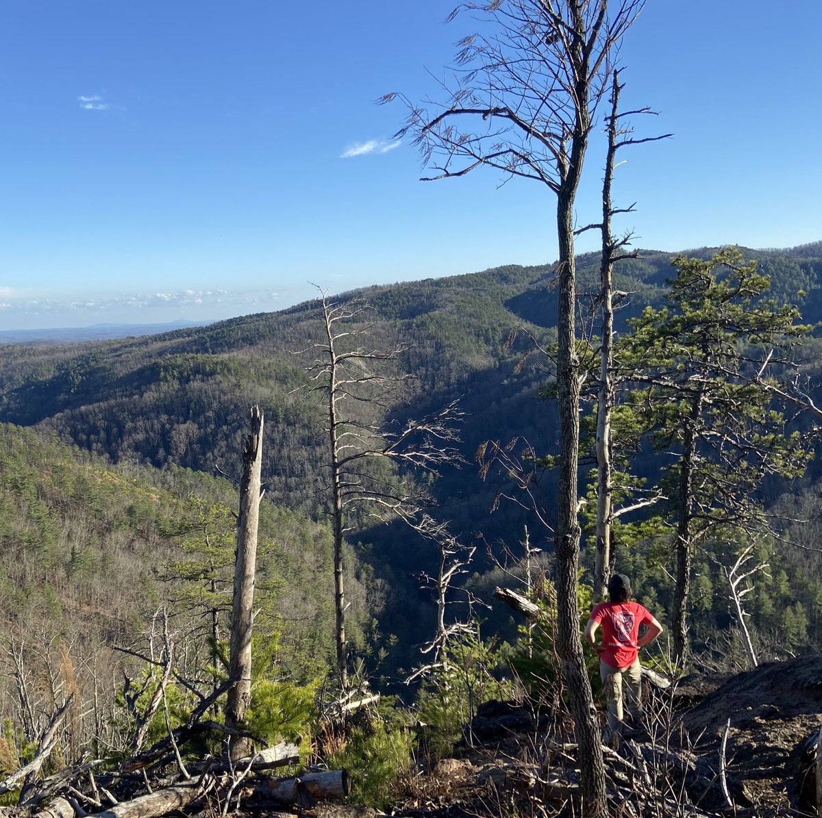 Taking Wolfpack pride to new heights ⛰

📸 HESO 257 Backpacking with Lecturer Chris Hendricks

#ncstatehes #ncstate #outdoor #backpacking #ncstatewolfpack #gopack #outdoorleadership #outdooradventures #outdoorphotography #outdoorlife