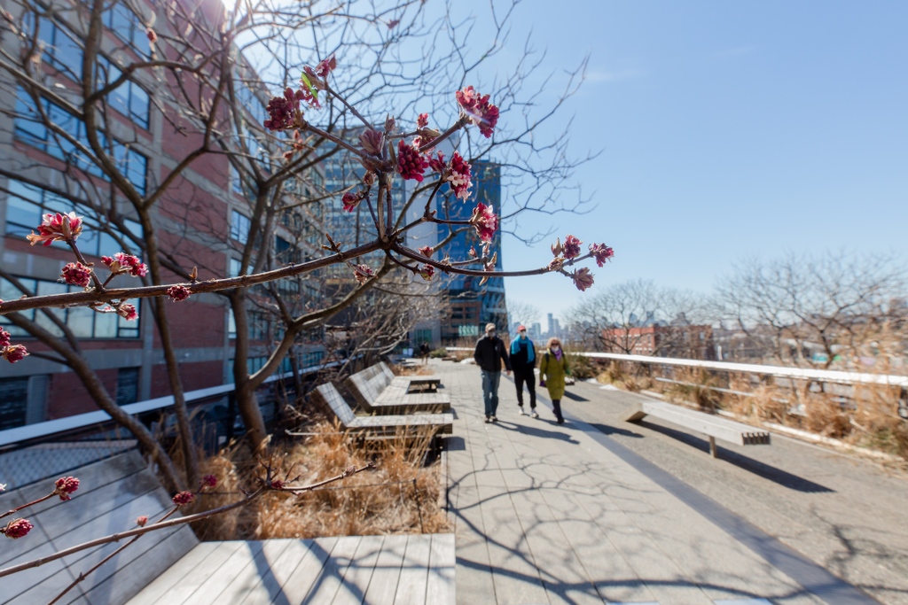 The High Line tweet media