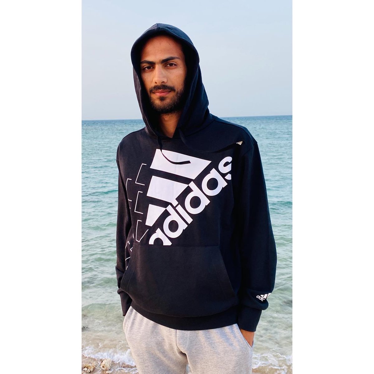 كلاب الغيرة عضاضين