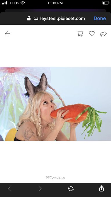 #bts photoshoot. Because what else am I supposed to do with a carrot? #bunnycosplay #cosplay unedited<a href="/tag/bts"class="tags">#bts</a><a href="/tag/cosplay"class="tags"><span>#cosplay</span></a><a href="/tag/bunnycosplay"class="tags"><span>#bunnycosplay</span></a>