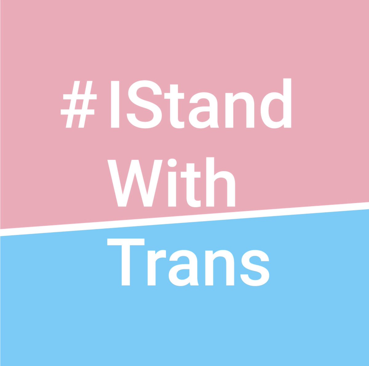 #IStandWithTrans because it makes complete sense to do so. #TDOV