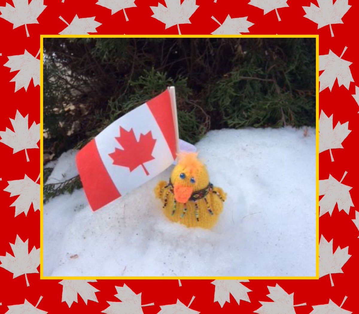 The Little Yellow Duck Project tweet media