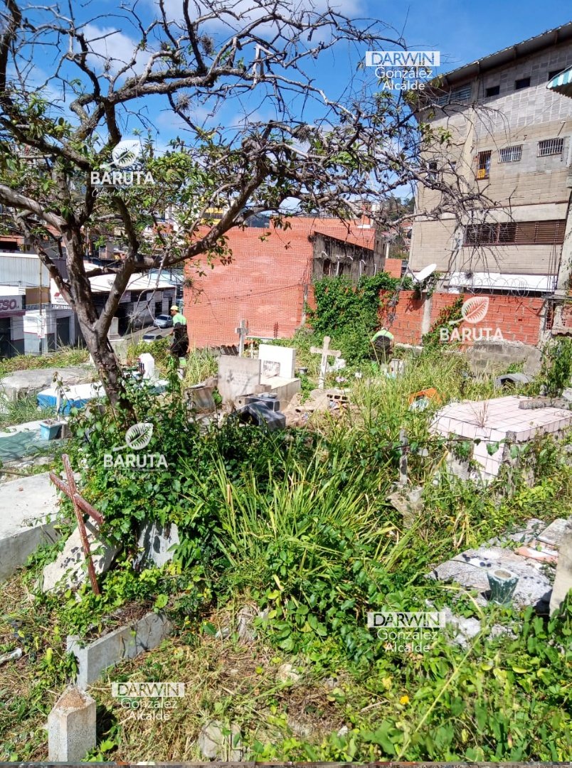 darwingonzalezp's tweet photo. ¡Baruteños! Es importante mantener todos nuestros espacios limpios y en buen estado, por eso hoy estuvimos en el Cementerio Municipal realizando labores de desmalezado y recolección de desechos. https://t.co/3BoGY0yusE