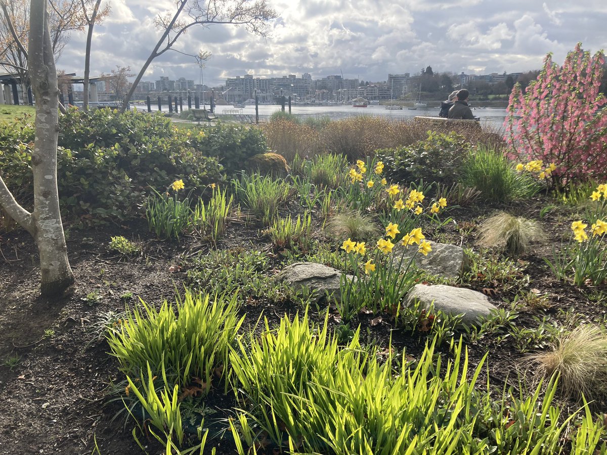 merissafb1's tweet photo. One of those 👌 mornings. Up early and treated to these views. #morningrun #inshorts #runvan #bostontraining https://t.co/BpuWCsVe7V