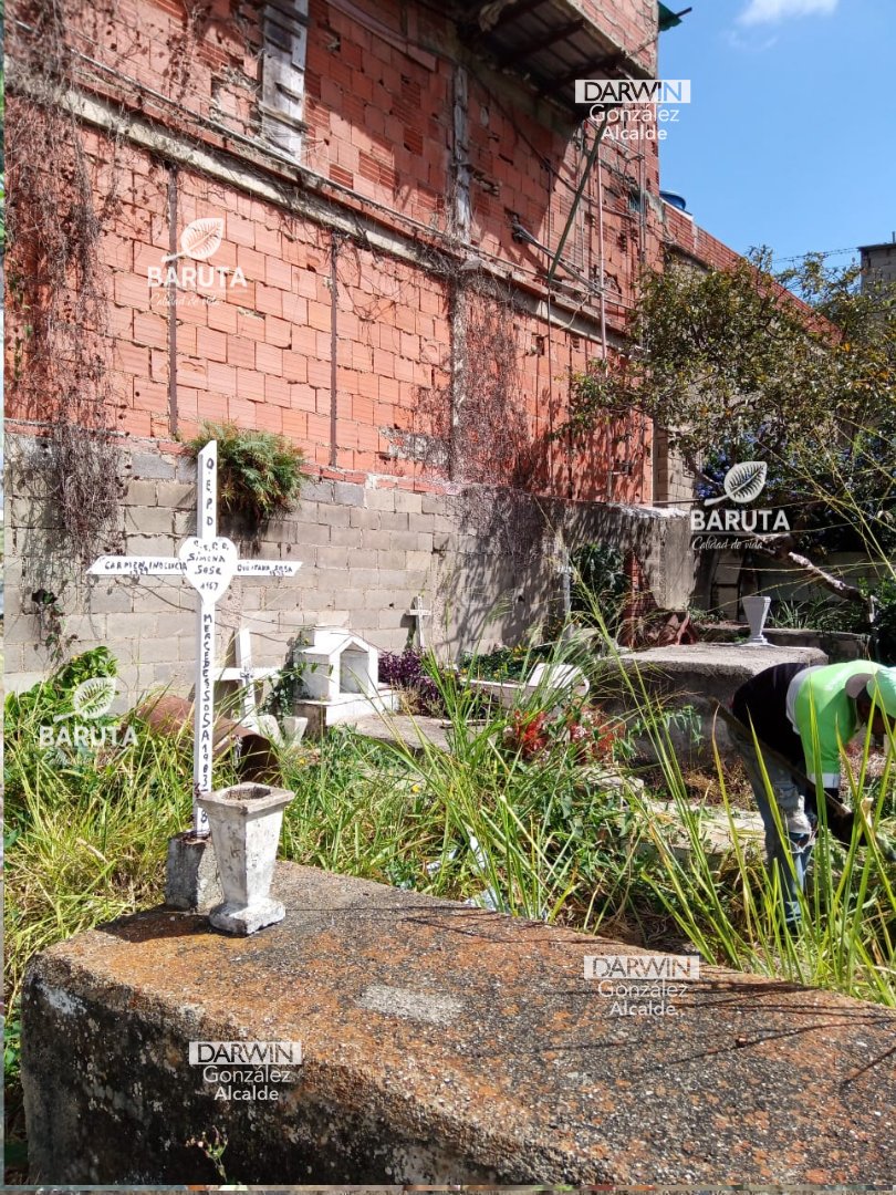 darwingonzalezp's tweet photo. ¡Baruteños! Es importante mantener todos nuestros espacios limpios y en buen estado, por eso hoy estuvimos en el Cementerio Municipal realizando labores de desmalezado y recolección de desechos. https://t.co/3BoGY0yusE