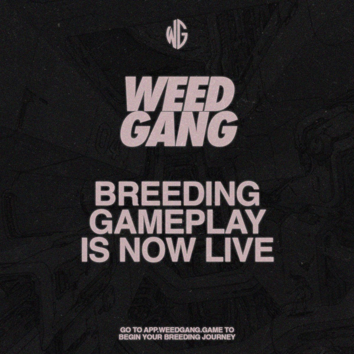 weedgangnft's tweet photo. WEEDGANG WE OUT HERE

https://t.co/E86y9CfJ2j https://t.co/xGBKRL7Ok7
