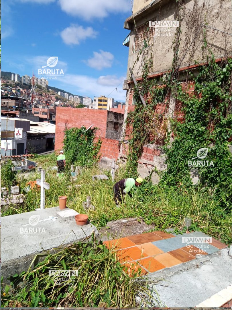 darwingonzalezp's tweet photo. ¡Baruteños! Es importante mantener todos nuestros espacios limpios y en buen estado, por eso hoy estuvimos en el Cementerio Municipal realizando labores de desmalezado y recolección de desechos. https://t.co/3BoGY0yusE