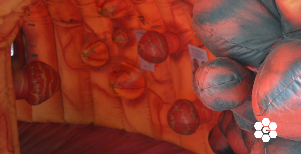 Grupo_Gamma's tweet image. ❗Mañana de 9 a 19hs 🕔❗ te esperamos en Plaza Pringles frente a Las Vertientes. 📢Recorre un colon inflable junto a nuestros profesionales en el marco del día mundial del #cáncercolorrectal 

#cáncer #cáncercolorrectal #grupogamma #calidadgamma #Rosario