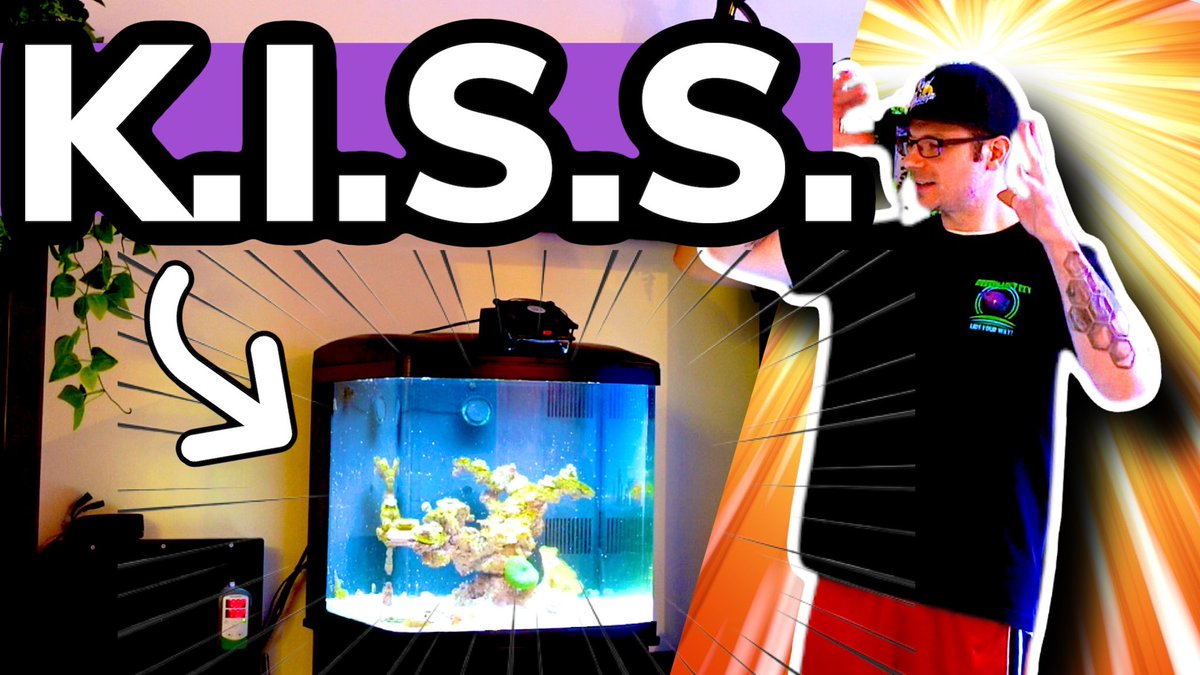 SaltFishTV1's tweet photo. Reef Tank Success on Minimal Filtration https://t.co/r4eiEQ7BXH
#BioCube Filtration. K.I.S.S. BioCube 32g Reefing For Beginners Series

#saltfishtv #justreef #reef #reeftank #nanoaquarium #aquarium #aquariums #fishtank #fishtanks #nanoreef #nanotank https://t.co/SX9TxkdWJS