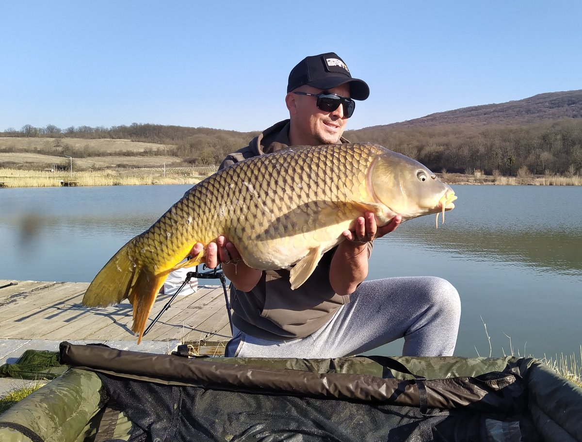 OmbataZ's tweet photo. #carp #carpfishing #trophycarp #yanimarcarp #massivebaits #carp22 https://t.co/m1IJevqSdi