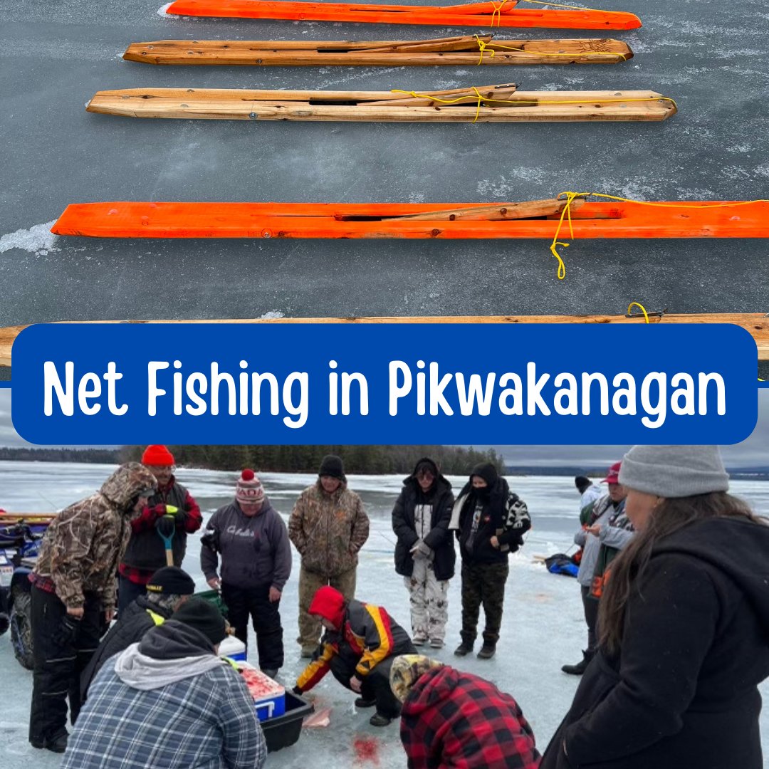 A7G_Official's tweet photo. After we built our Zhiibaashgijigan, we got to test them out. 

On Friday, we caught 9 fish and were able to offer some to the elders in Pikwaknagan and have some for our community freezer.

#a7g #assemblyofsevengenerations #fishingjigboards #fishing #fish #pikwaknagan https://t.co/KmKf3YRT4j