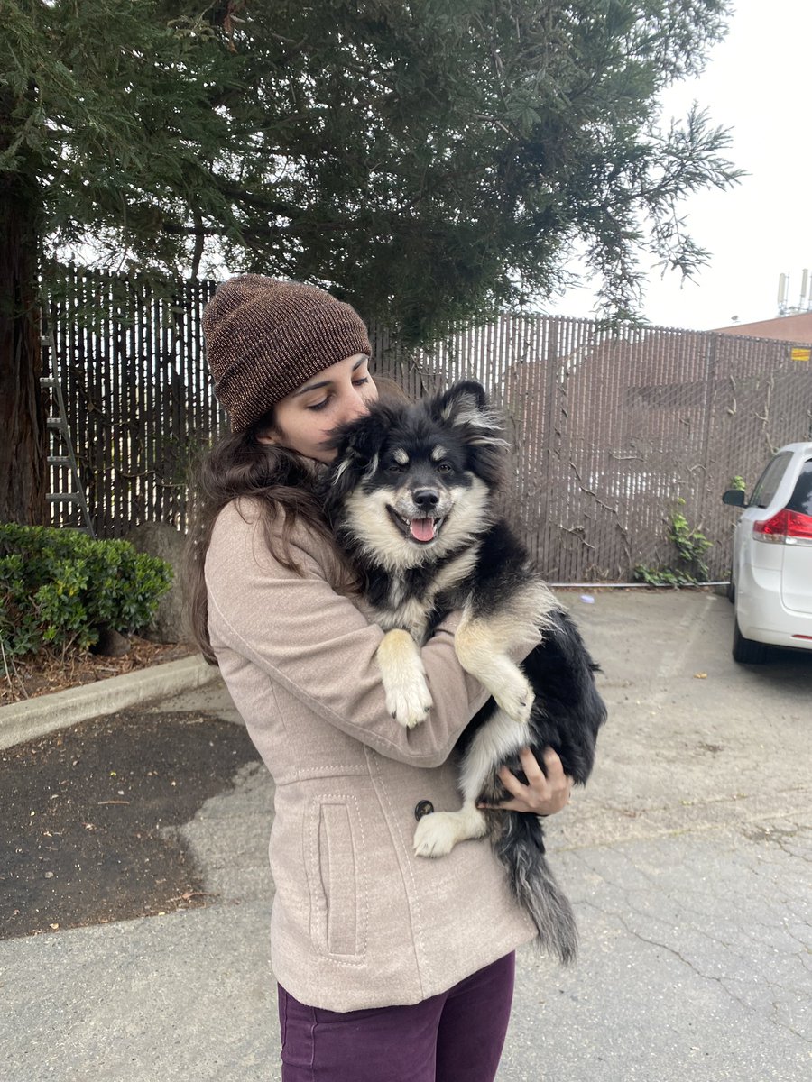 Morgan_Rynor's tweet photo. PLEASE SHARE! Sac friends, just found this cute little baby by my station! Had a collar, but no tag on it. Sweetest thing https://t.co/HhU0kmghVT