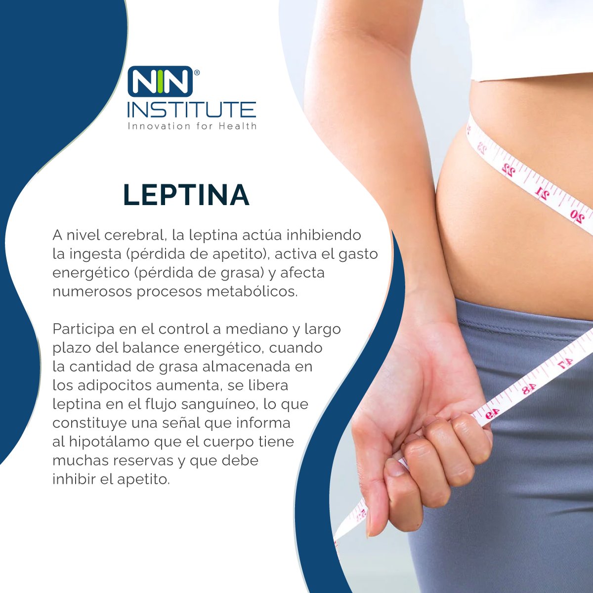 Es una hormona que tiene que ver con el control de nuestro peso corporal mediante la regulación del apetito y cómo quemamos la grasa. 

Curiosamente leptina deriva de la raíz griega leptos que significa delgado. 

#NINInstitute #InnovationForHealth