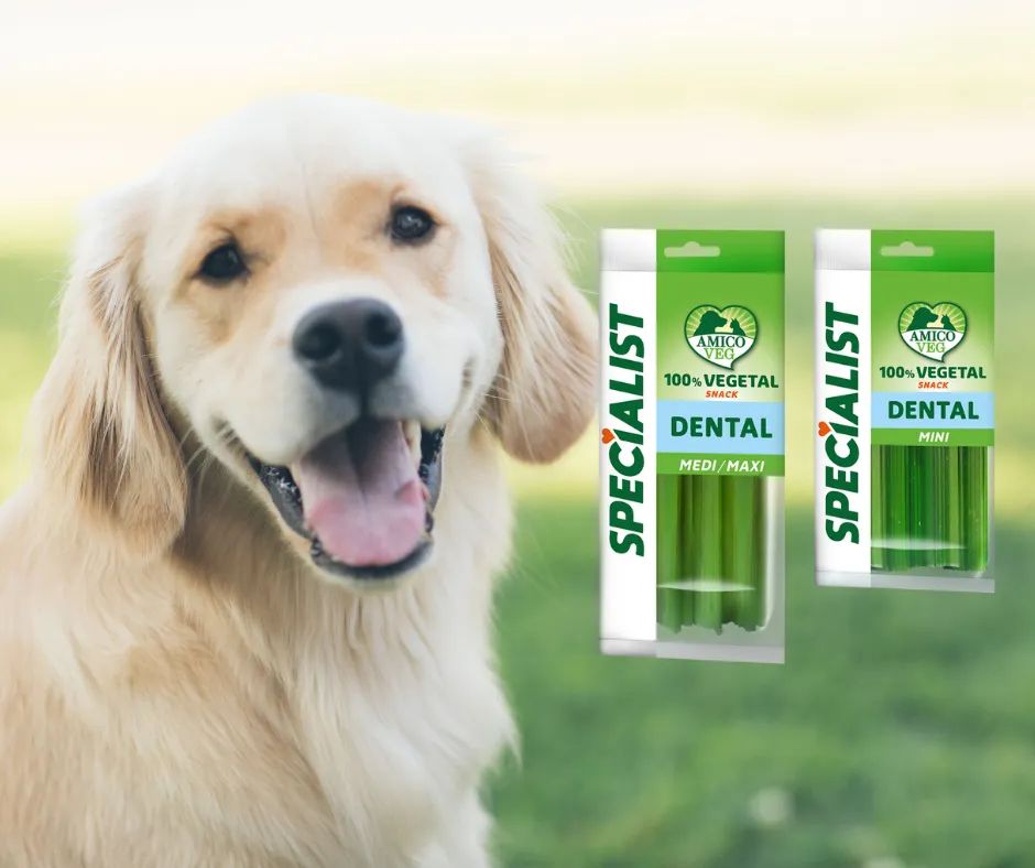 amicoveg's tweet photo. Prenditi cura dei denti del tuo quattrozampe con uno snack nato per proteggerli: scopri lo snack 100% vegetal Dental della linea Specialist #AmicoVeg. Disponibile sia per cani mini che per quelli medi/maxi. https://t.co/J1CpLkvLrY