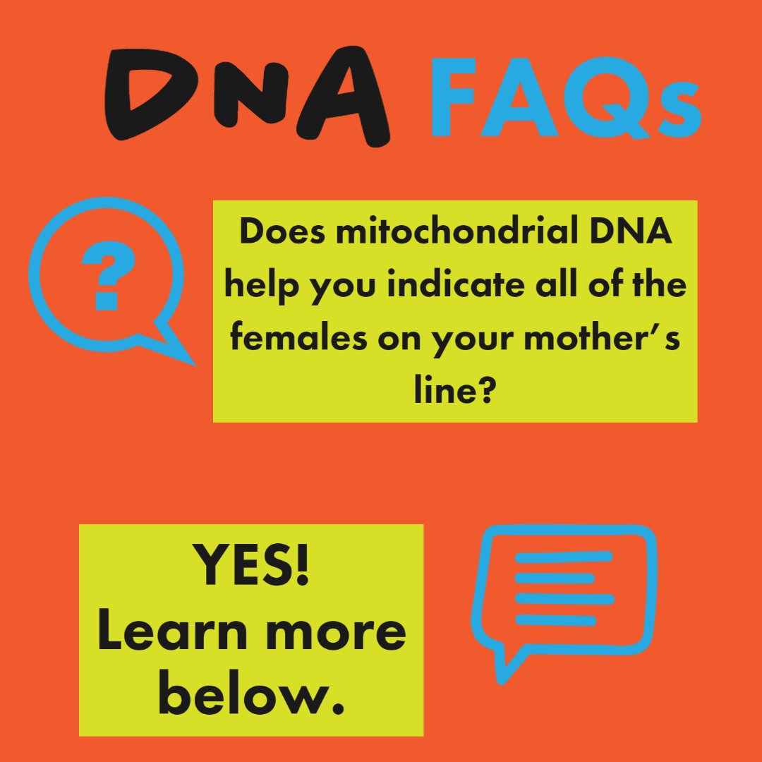 Everyone has mtNDA from their mother, who received it from her mother, and so on. So your mtDNA test will help you learn about that direct female line.
Learn more about #mtDNA for family history here.
yourdnaguide.com/mtdna
 #yourDNAguide #DIYDNA #DNA #familyhistory #genealogy