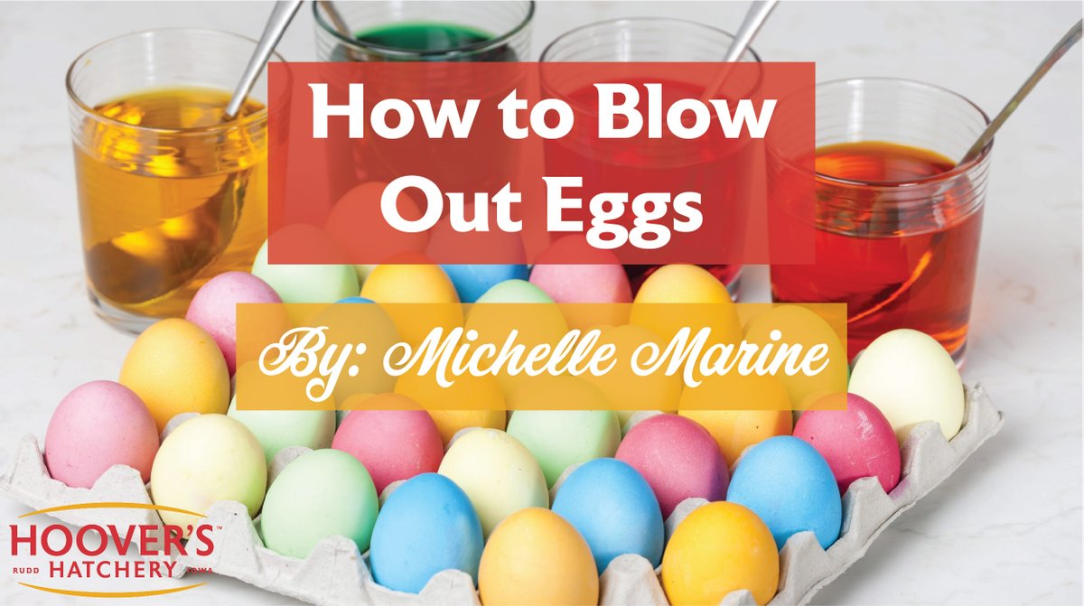 "Easter Egg Trees were a big deal when I was kid in Germany. All the German families I knew spent hours blowing out eggs, decorating the eggs, and hanging them from a lovely “tree” they kept as a centerpiece on their table." Learn how here bit.ly/3tR1Ubi 🥚