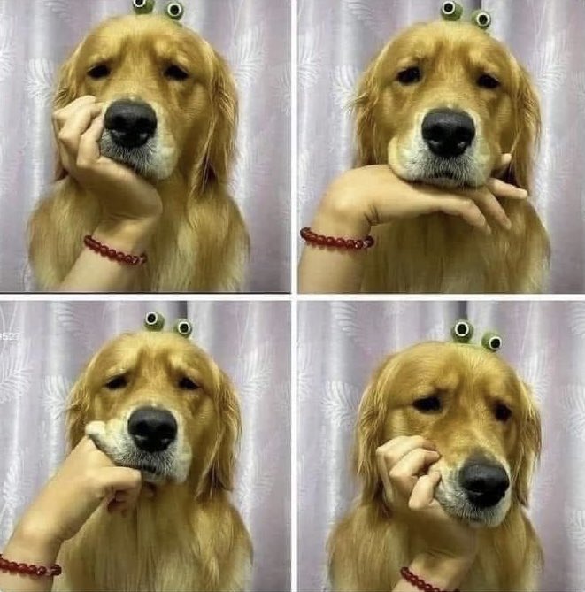 MdcnCabreada's tweet photo. CUANDO TE SUELTAN UNA CHAPA INTERMINABLE EN UNA CHARLA Y NO PUEDES IRTE https://t.co/Jjakcg2DTU