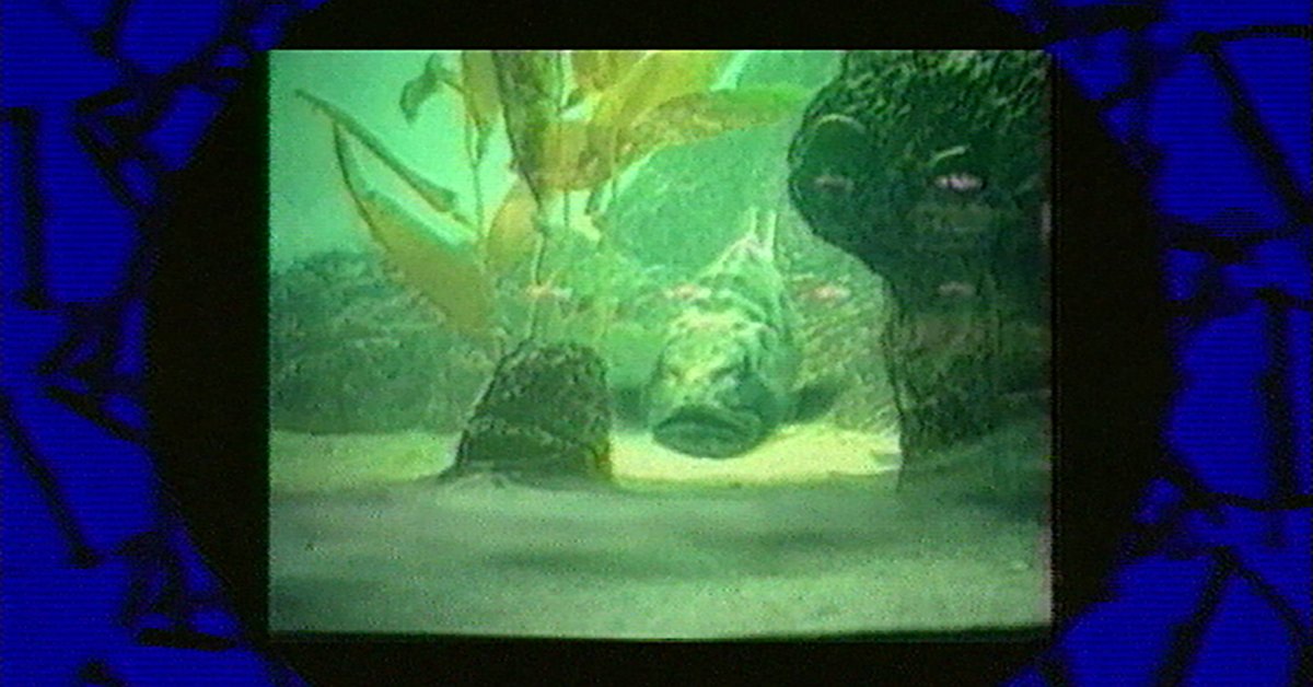 Vidéographe tweet media