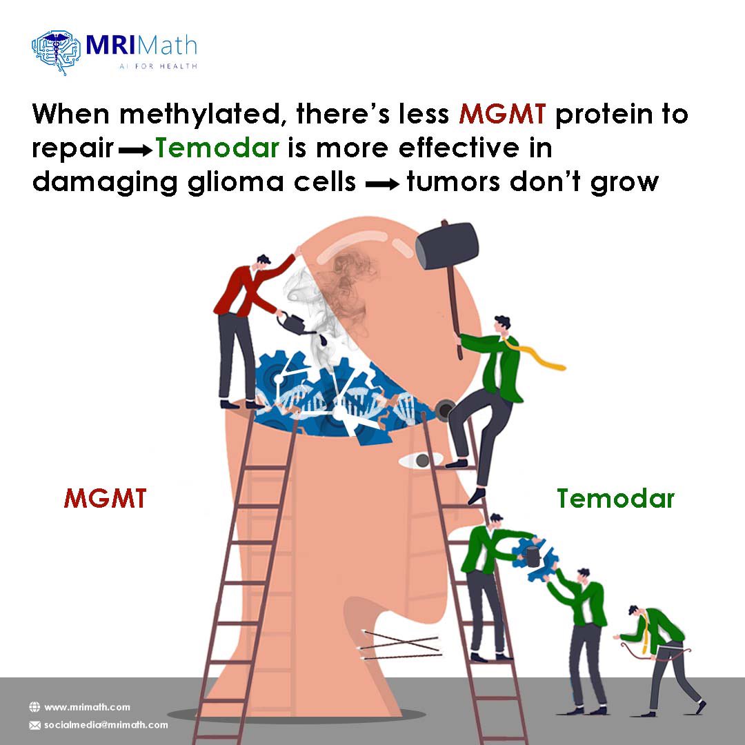 MrimathL's tweet photo. -Methyl Guanine Methyl Transferase (MGMT) Methylation status predicts the response of malignant glioma to chemotherapy and patients’ survival.
🌐: https://t.co/68KtTzhHN8
📧: socialmedia@mrimath.com
#braintumors #braintumor #Cancer #MedicareForAll #mrimath #mgmt https://t.co/xhYFcieSro