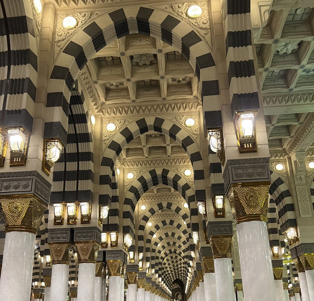 tariqafiya's tweet photo. https://t.co/GDIZHUbVsS