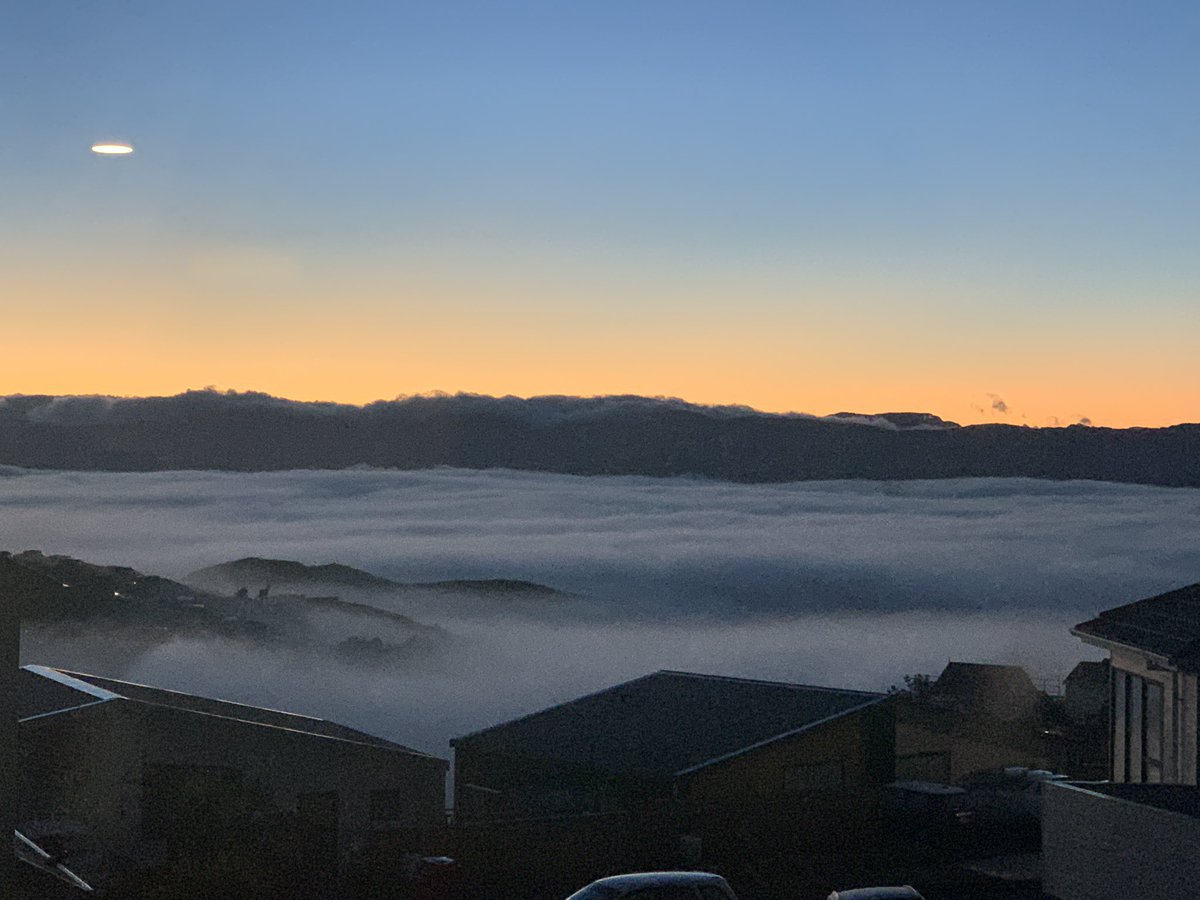 Sunrise from above the clouds. Or in this case, Wellington Harbour.