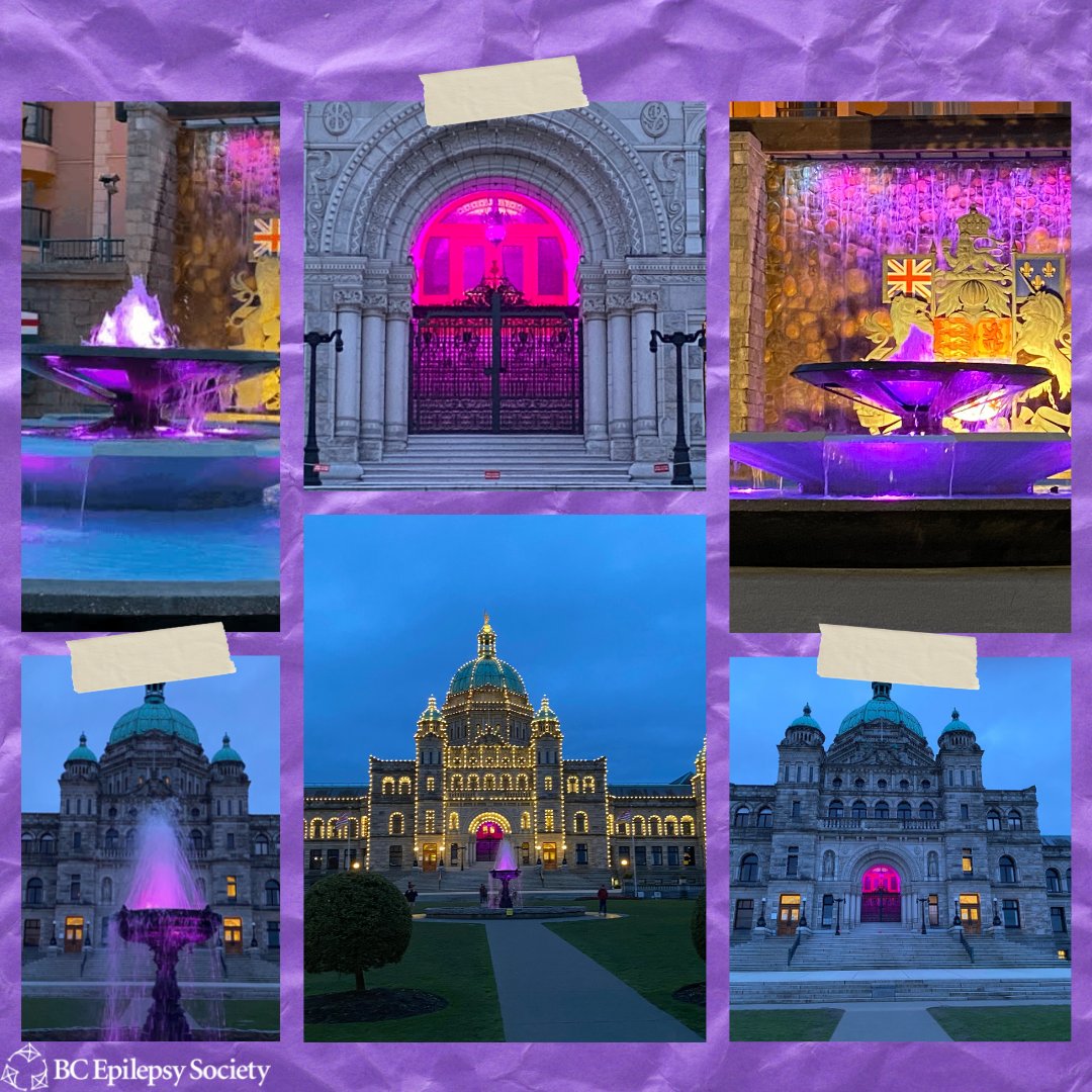 IVoicefor's tweet photo. Check out these amazing photos Deirdre took of the purple lights at the BC Parliament Building on #PurpleDay! If you took a photo of a BC landmark that lit up purple in honour of #epilepsy awareness, please email it to sonia@bcepilepsy.com or post it on social media and tag us. https://t.co/8RBME8y2kH