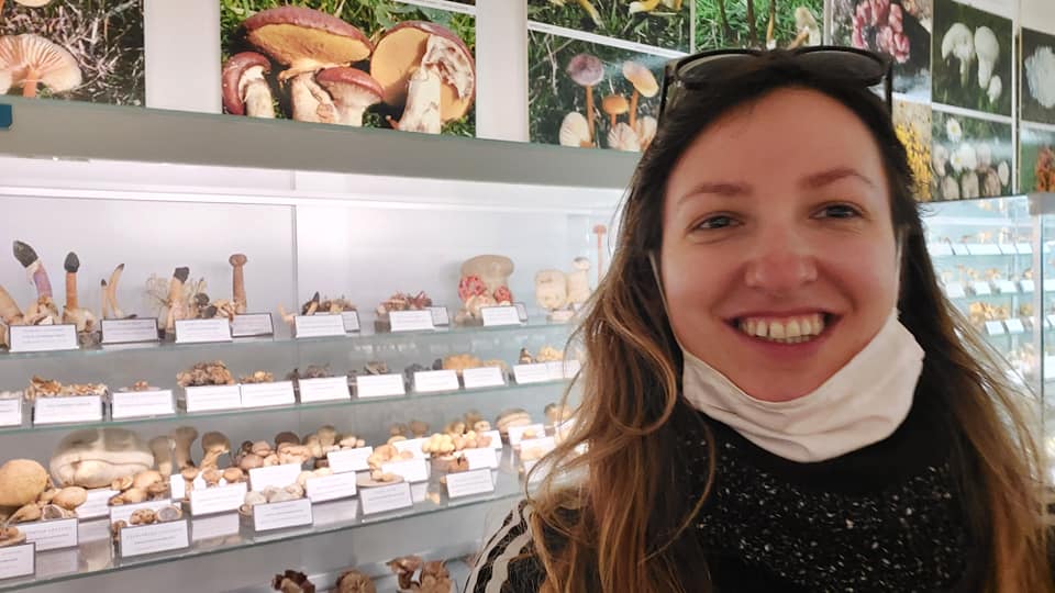 What makes you happy? Mushrooms is my answer! :)
youtube.com/watch?v=2ssmuf…
#nature #video #Happiness #happy