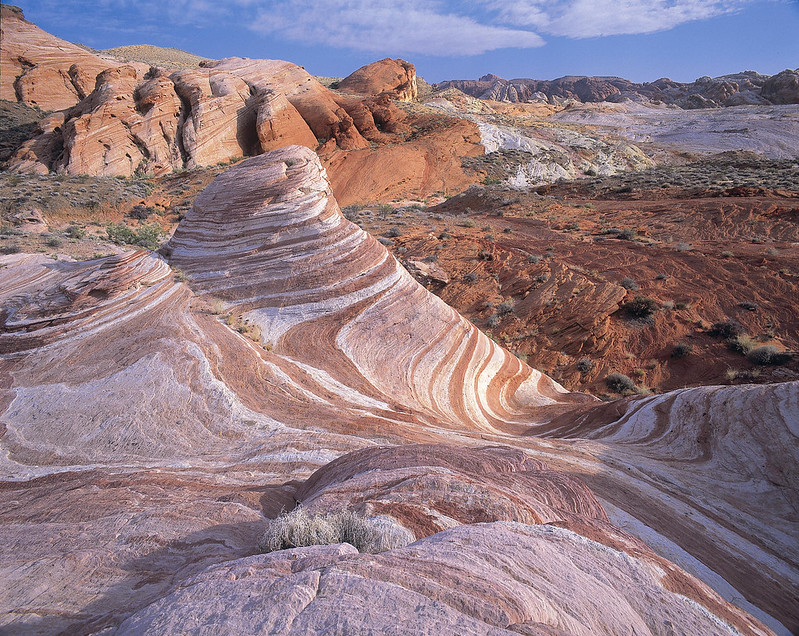 NevDCNR's tweet photo. For #TakeAWalkInTheParkDay Day, go out and explore one of our beautiful #NVStateParks! We have everything you need to plan your next adventure: https://t.co/FyQuiiblbV https://t.co/rSL5U1ISbk