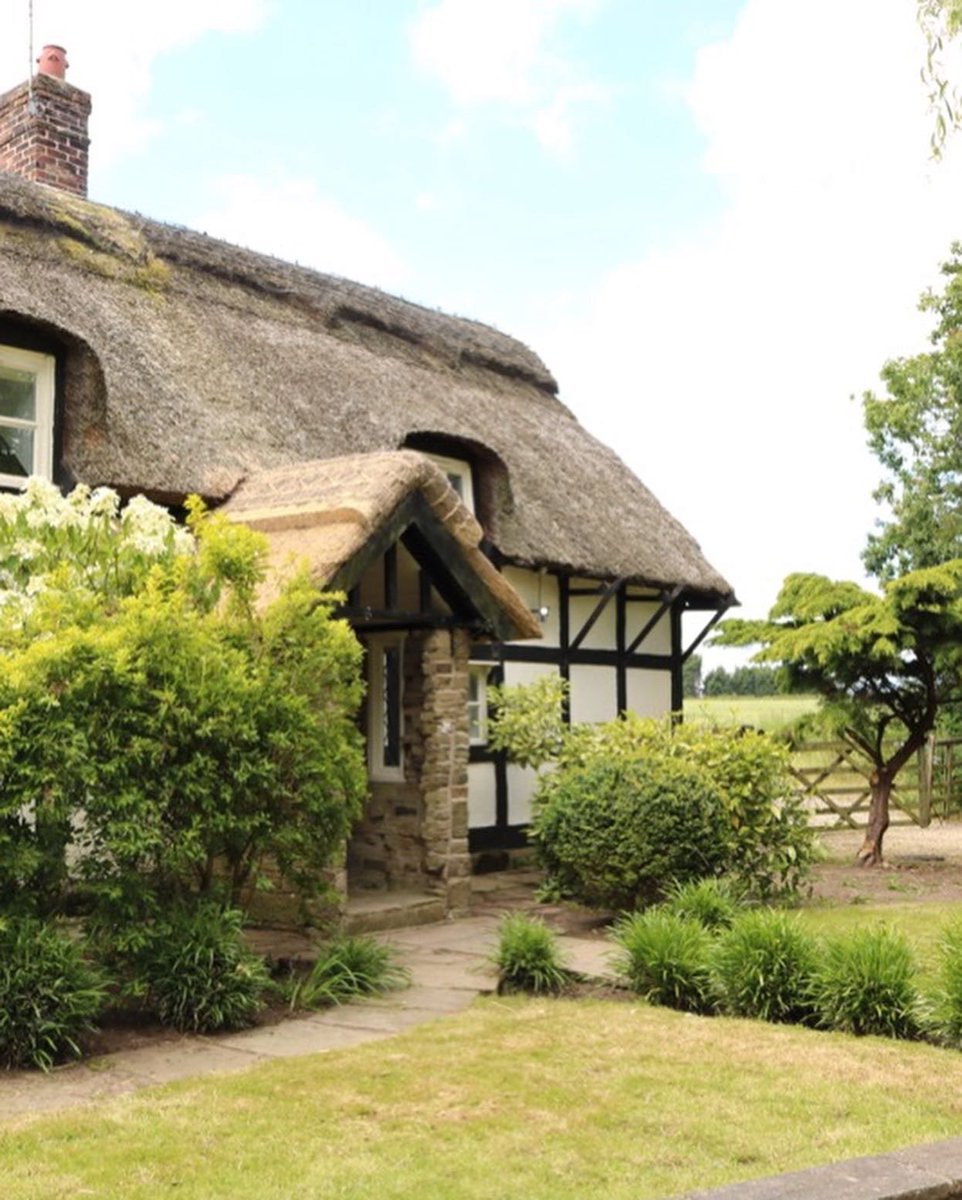 Tatton Stays tweet media